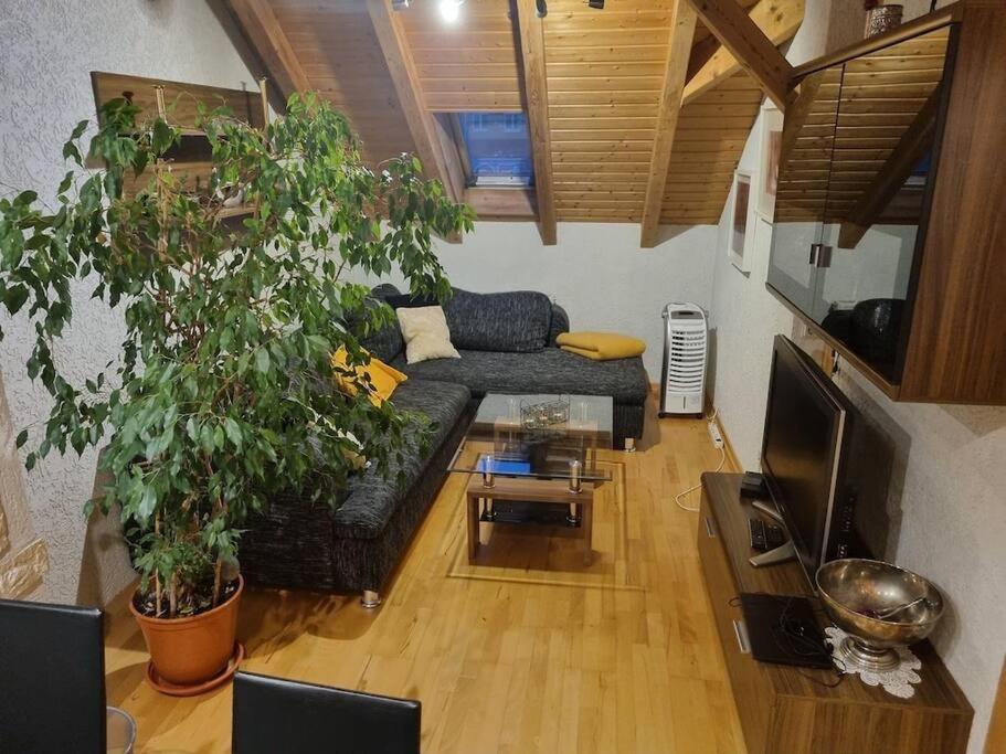 Gemuetliche Dachgeschosswohnung Erfurt Bagian luar foto